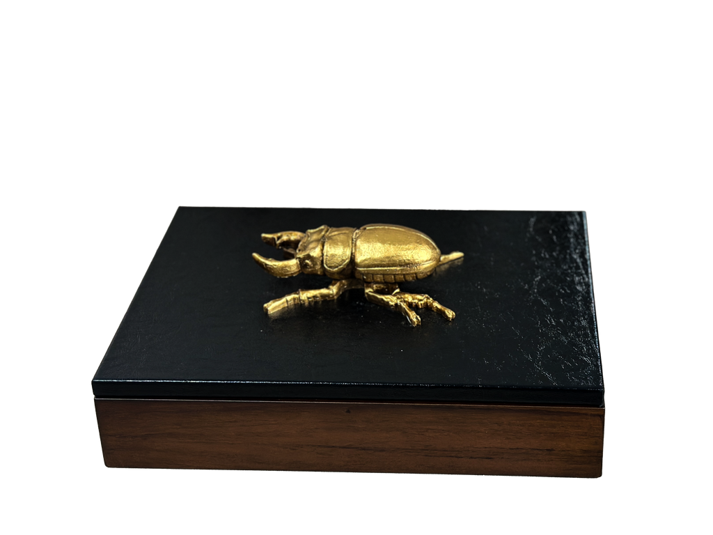 Caja decorativa con bicho en Curpiel Sintética