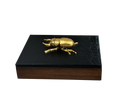 Caja decorativa con bicho en Curpiel Sintética