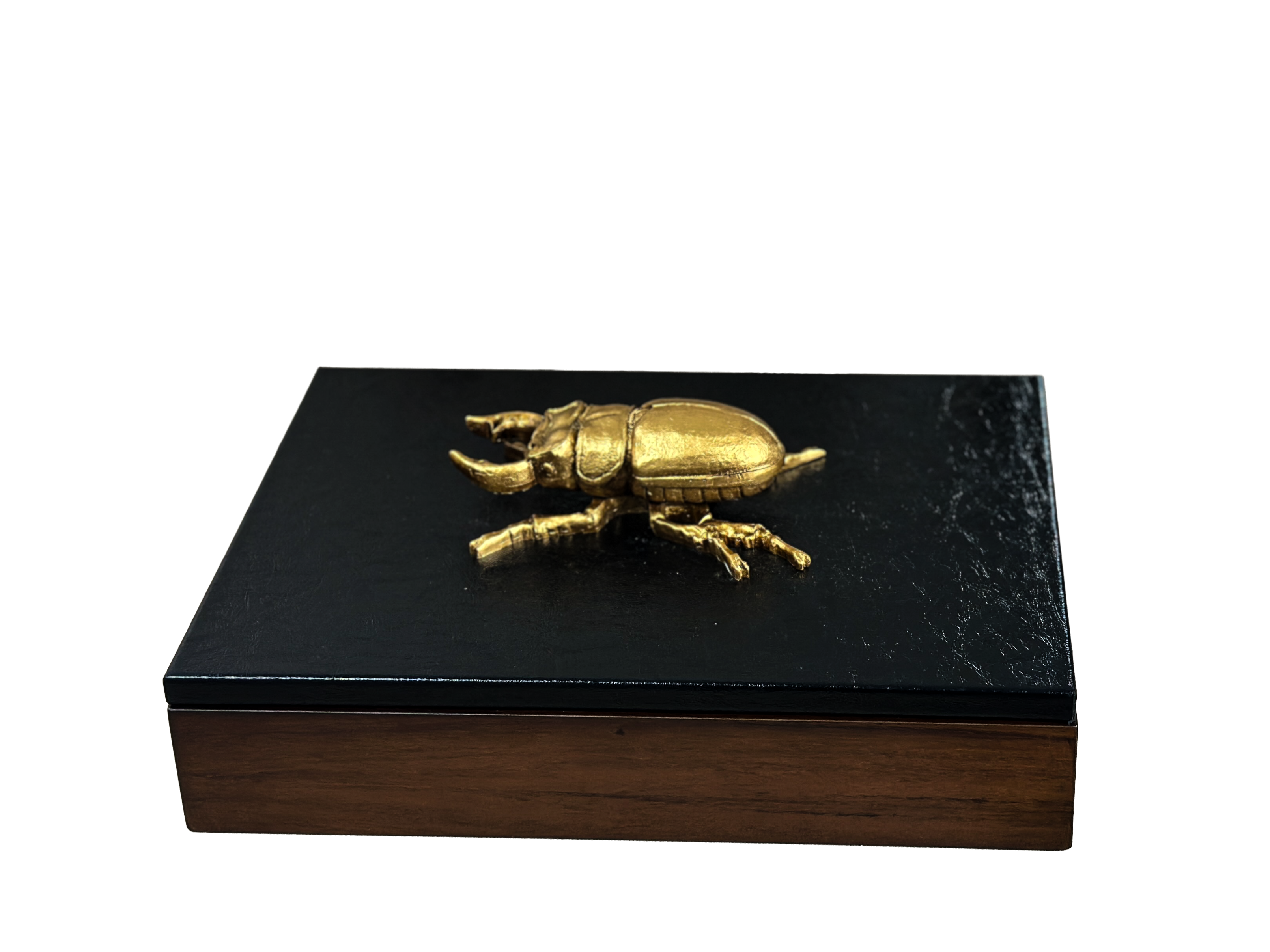 Caja decorativa con bicho en Curpiel Sintética