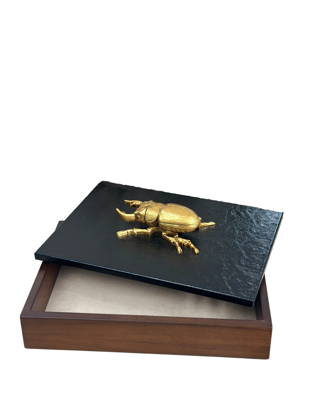 Caja decorativa con bicho en Curpiel Sintética