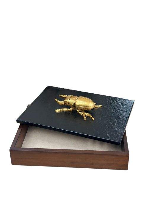 Caja decorativa con bicho en Curpiel Sintética